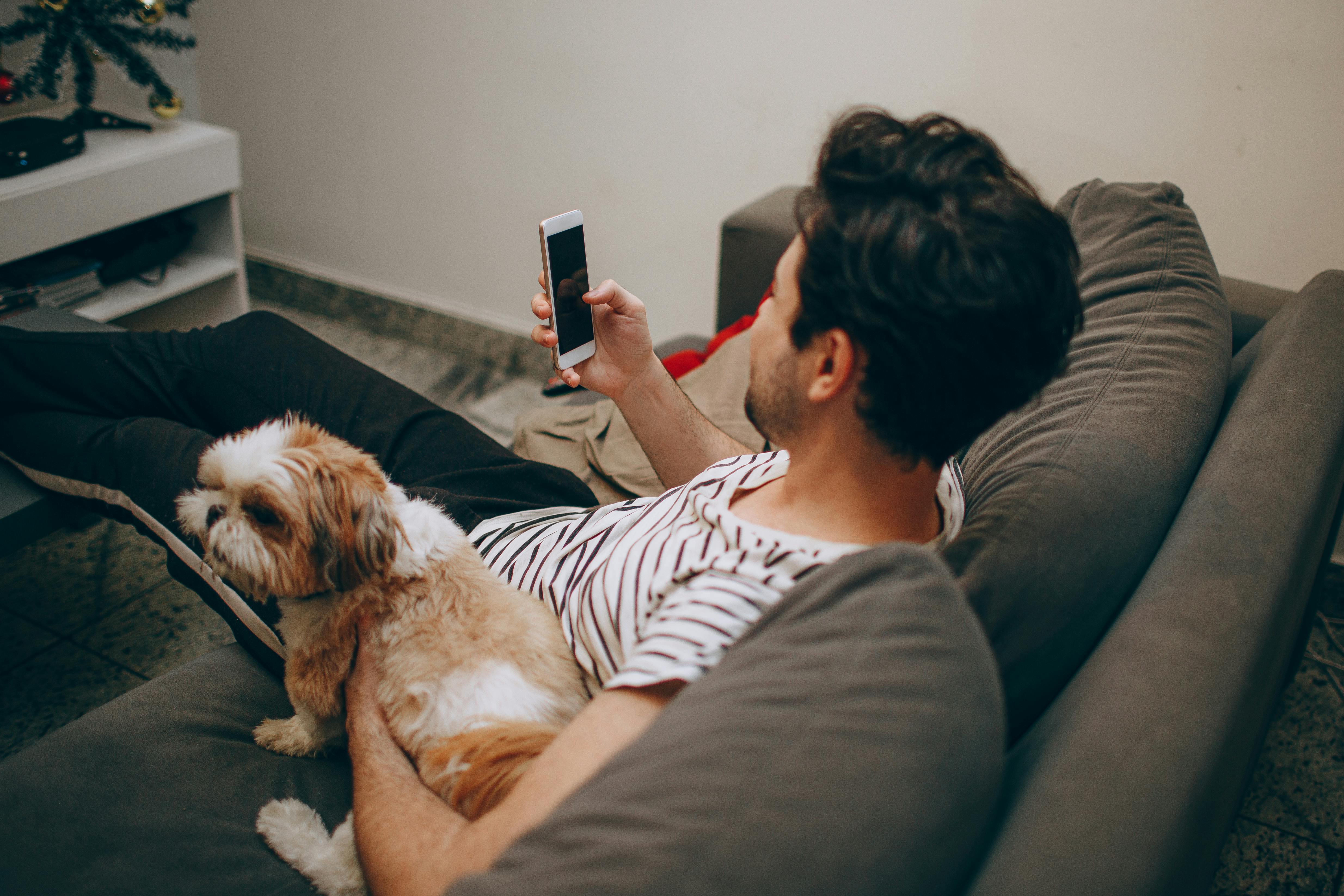 pet technology jobs — Photo by Helena Lopes on Pexels