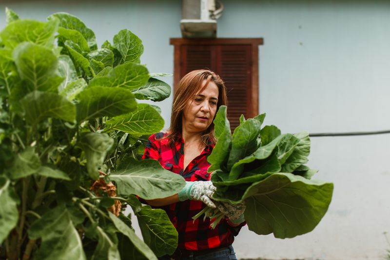 A grower carrying just-cut greens beside a garden bed, photo by Helena Lopes on Pexels