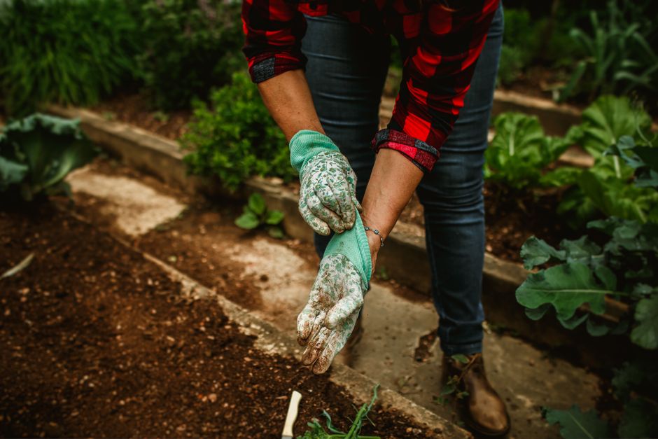 Homegrown USA Meals Guide - 33 Seed To Table Recipes