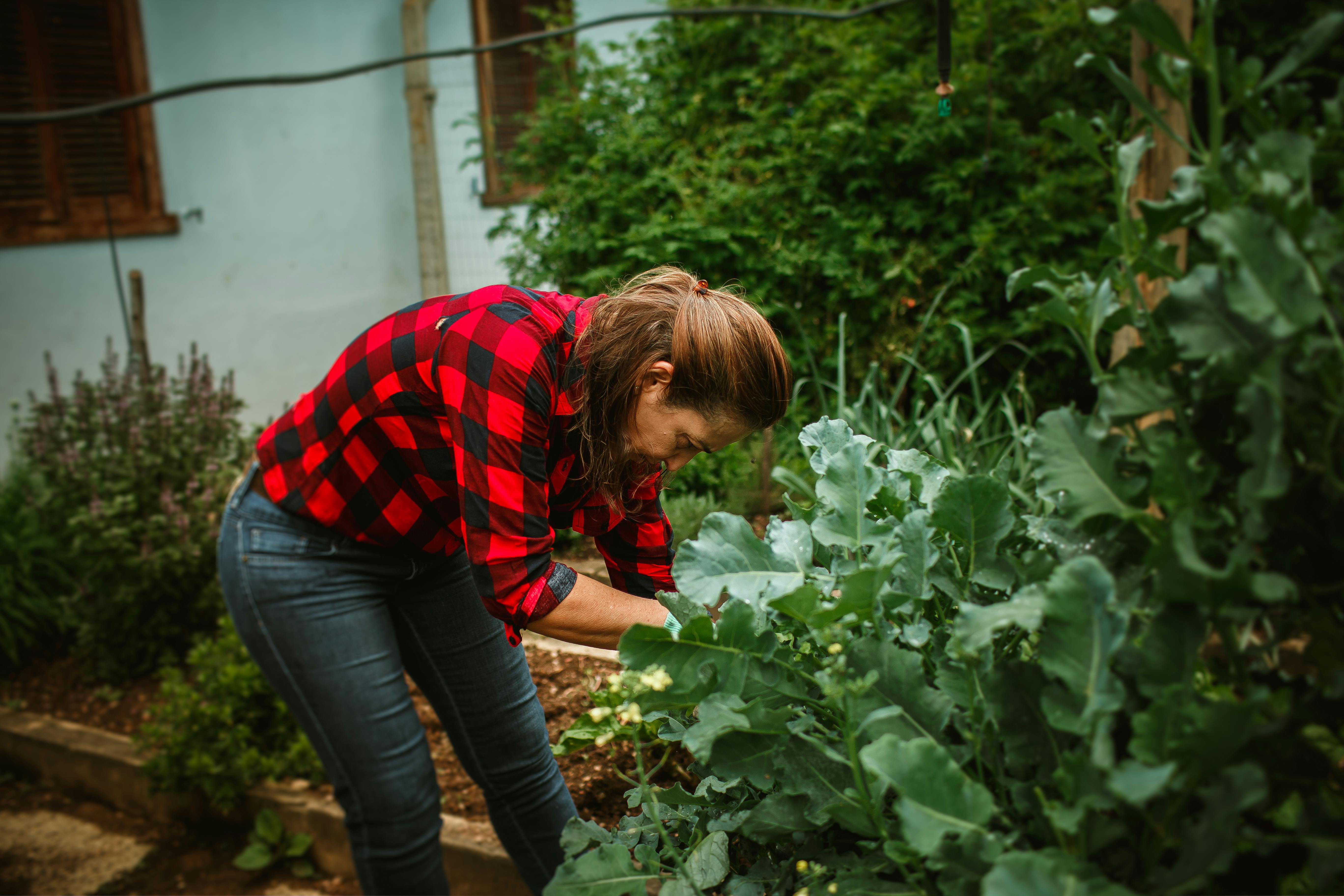 Video Woman gardening at 96 with help from dog takes over the internet - ABC News — Photo by Helena Lopes on Pexels