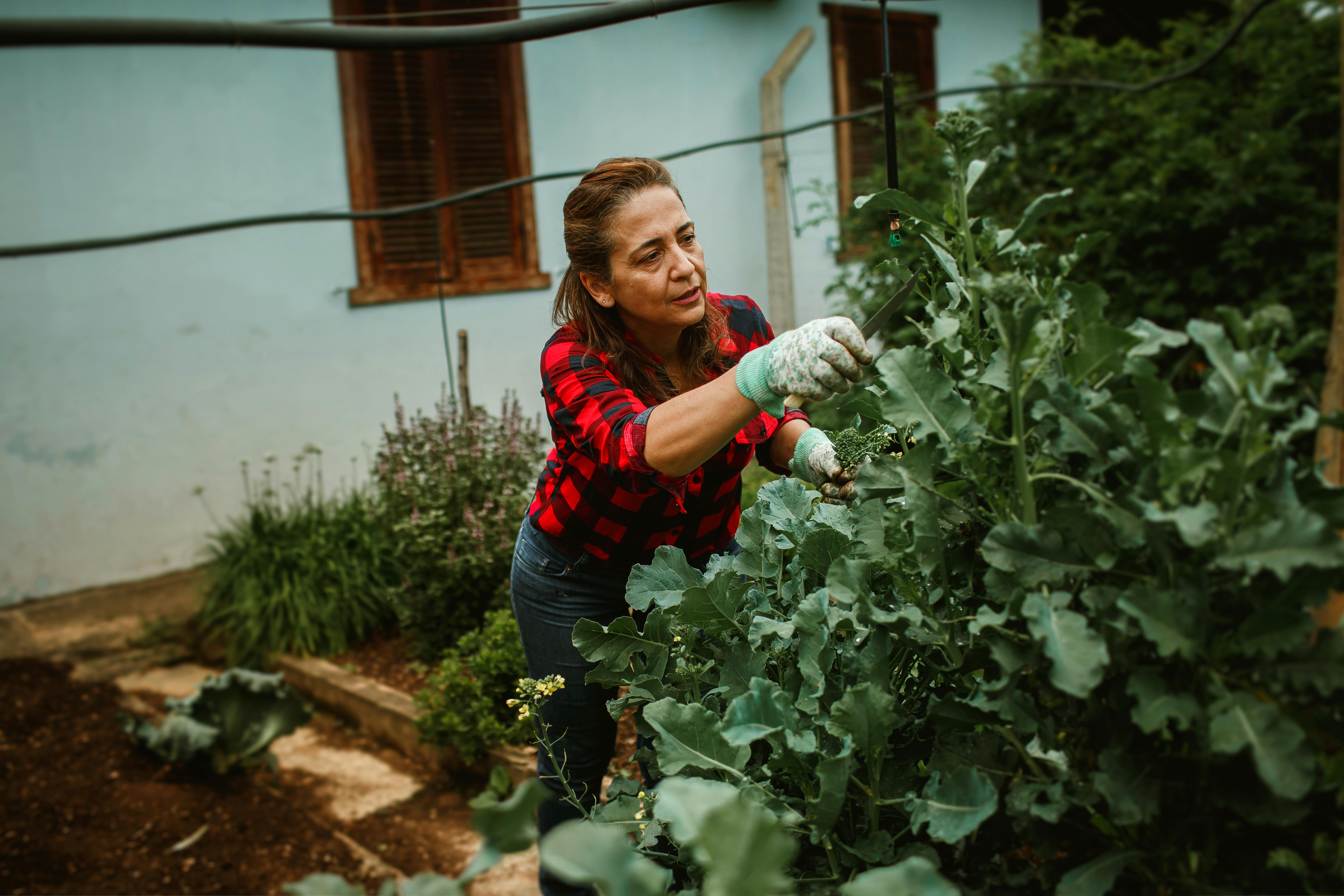 8 DeWalt Gardening Tools You Probably Didn't Realize Existed — Photo by Helena Lopes on Pexels