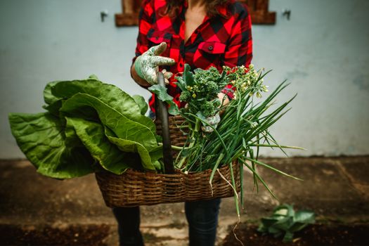 A woman in a plaid shirt carries a basket of fresh vegetables from the garden.