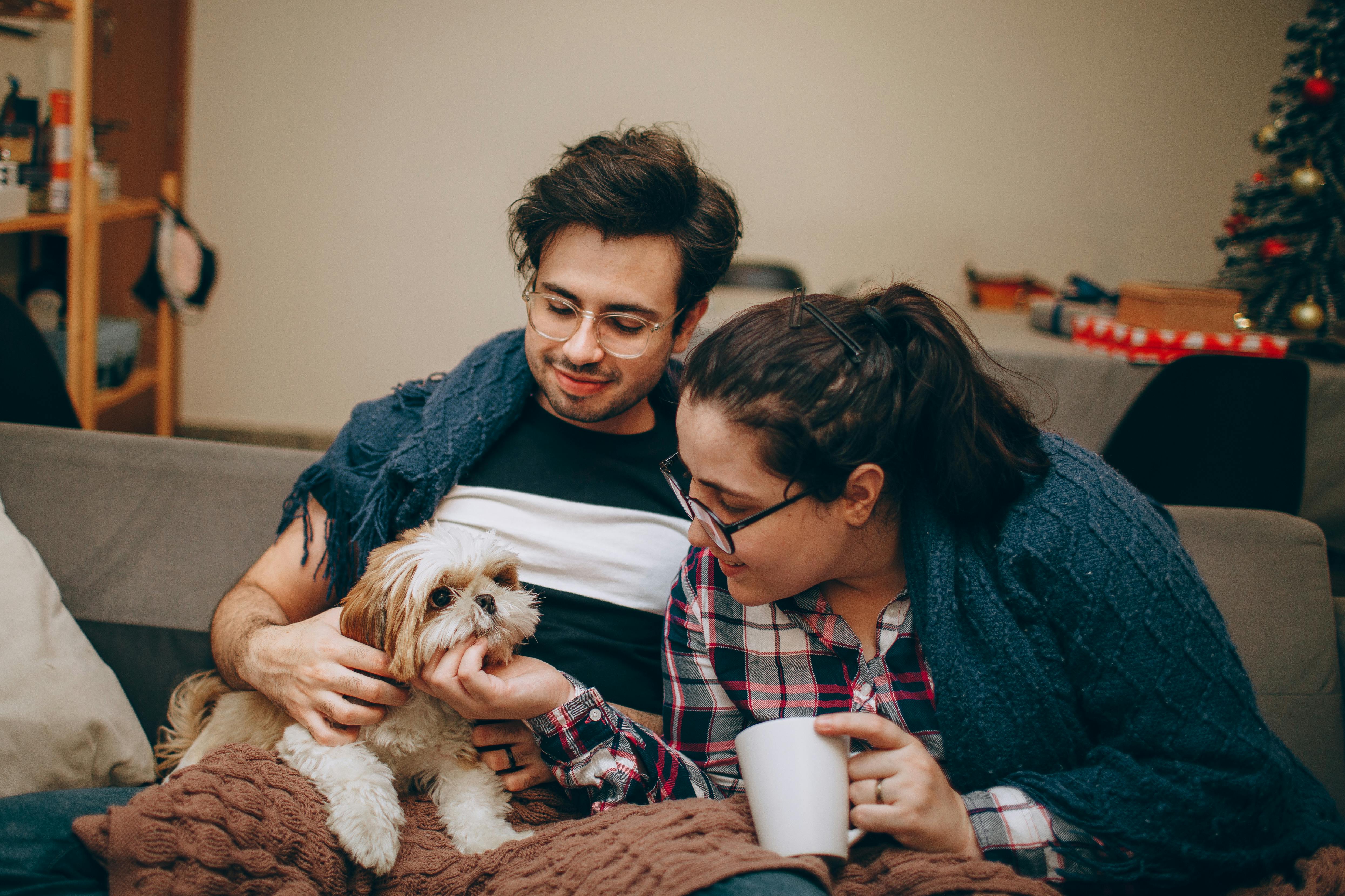 pet insurance, veterinary costs, pet health coverage, dog insurance, cat insurance, pet wellness — Photo by Helena Lopes on P