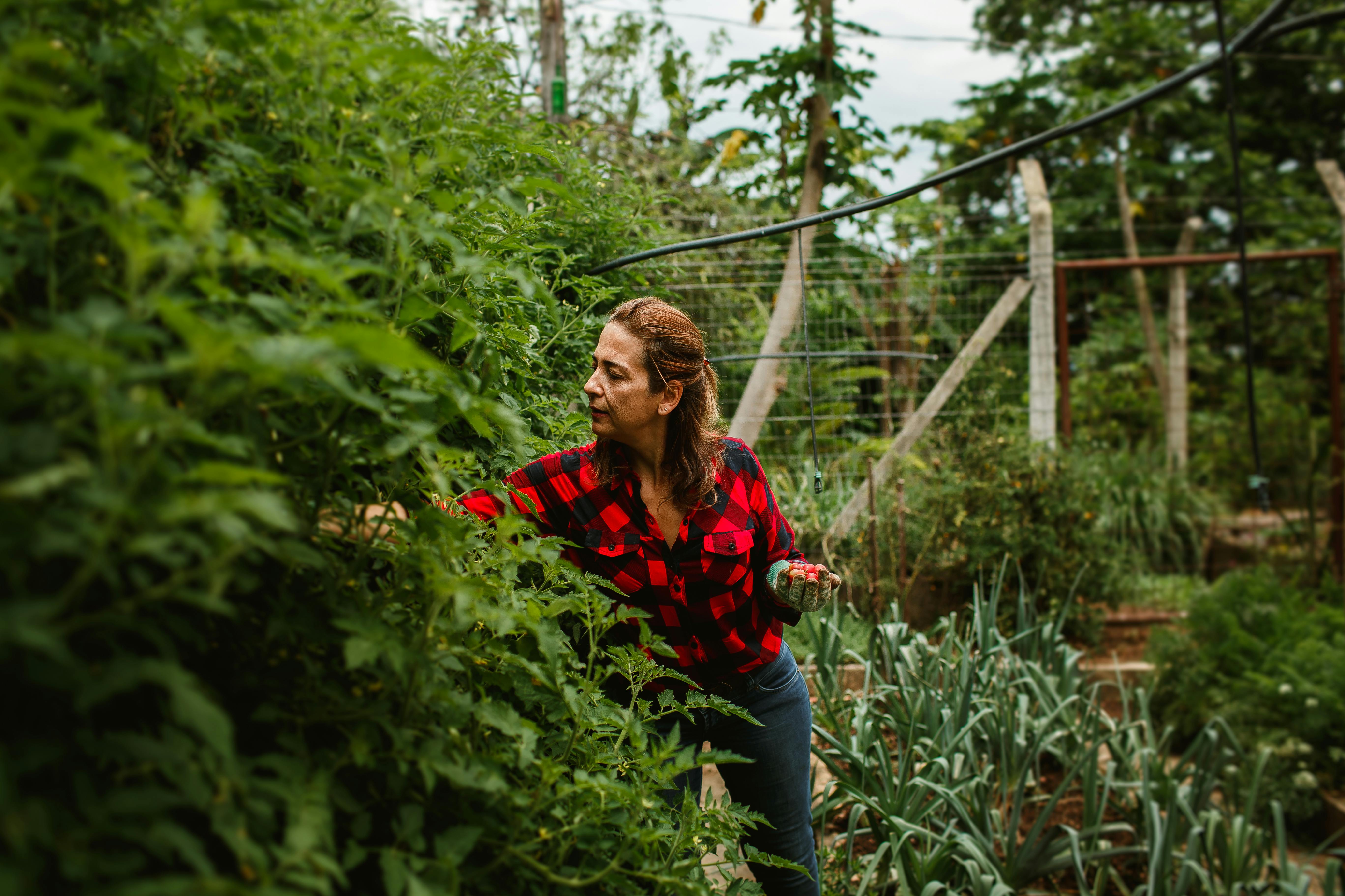 12 durable gardening tools our editors rely on to make gardening more comfortable and fruitful — Photo by Helena Lopes on Pex