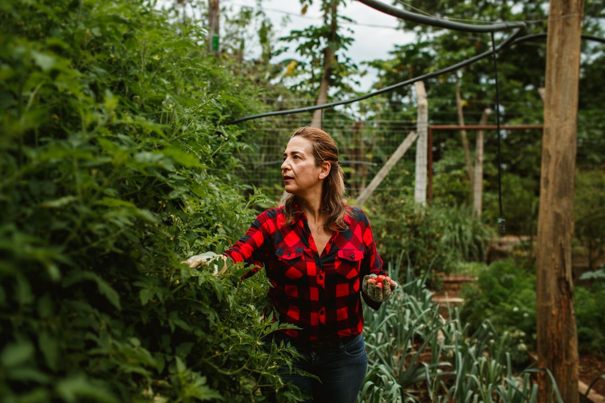 Smiling Gardener among Plants · Free Stock Photo