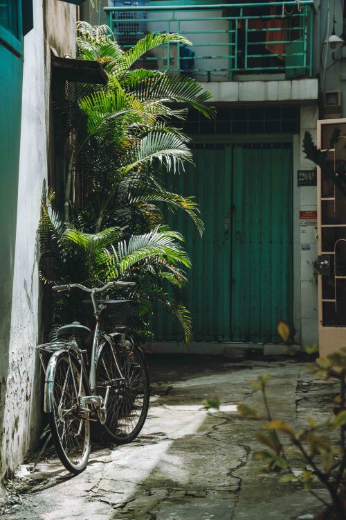 Free A serene alleyway with a bicycle and tropical plants in Ho Chi Minh City, Vietnam. Stock Photo
