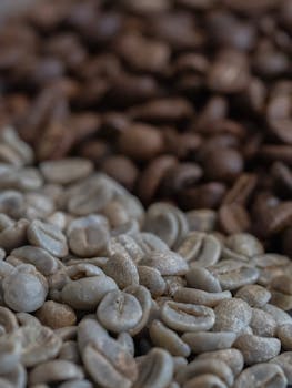 Macro shot showing the contrast between raw green and roasted brown coffee beans.