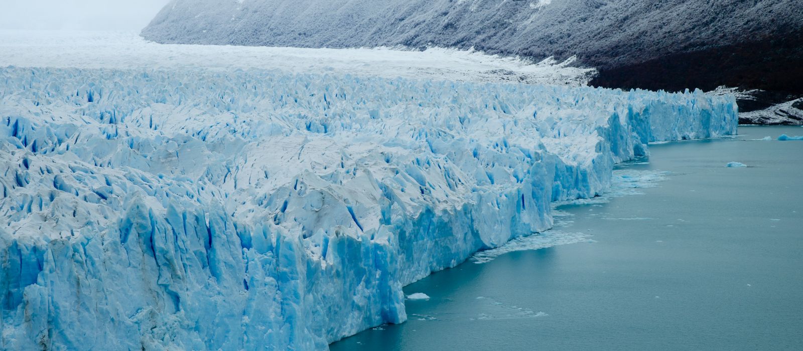 The blue ice face of the Perito Moreno glacier meeting still water.