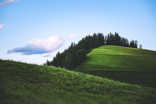 Free Serene landscape of green hills and trees under a bright blue sky, perfect for nature lovers. Stock Photo