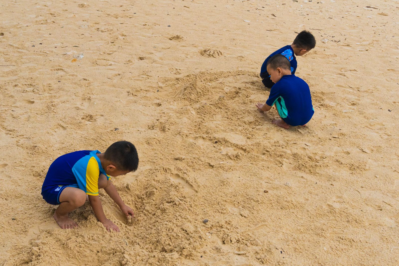 Children Playing with Sand on a Beach · Free Stock Photo