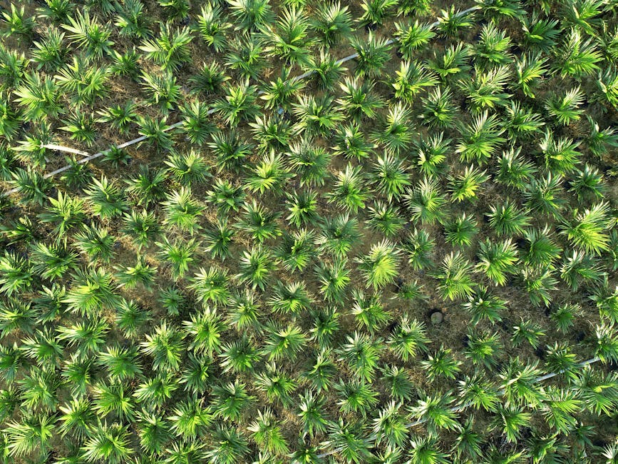 Impact of the US Oil Embargo