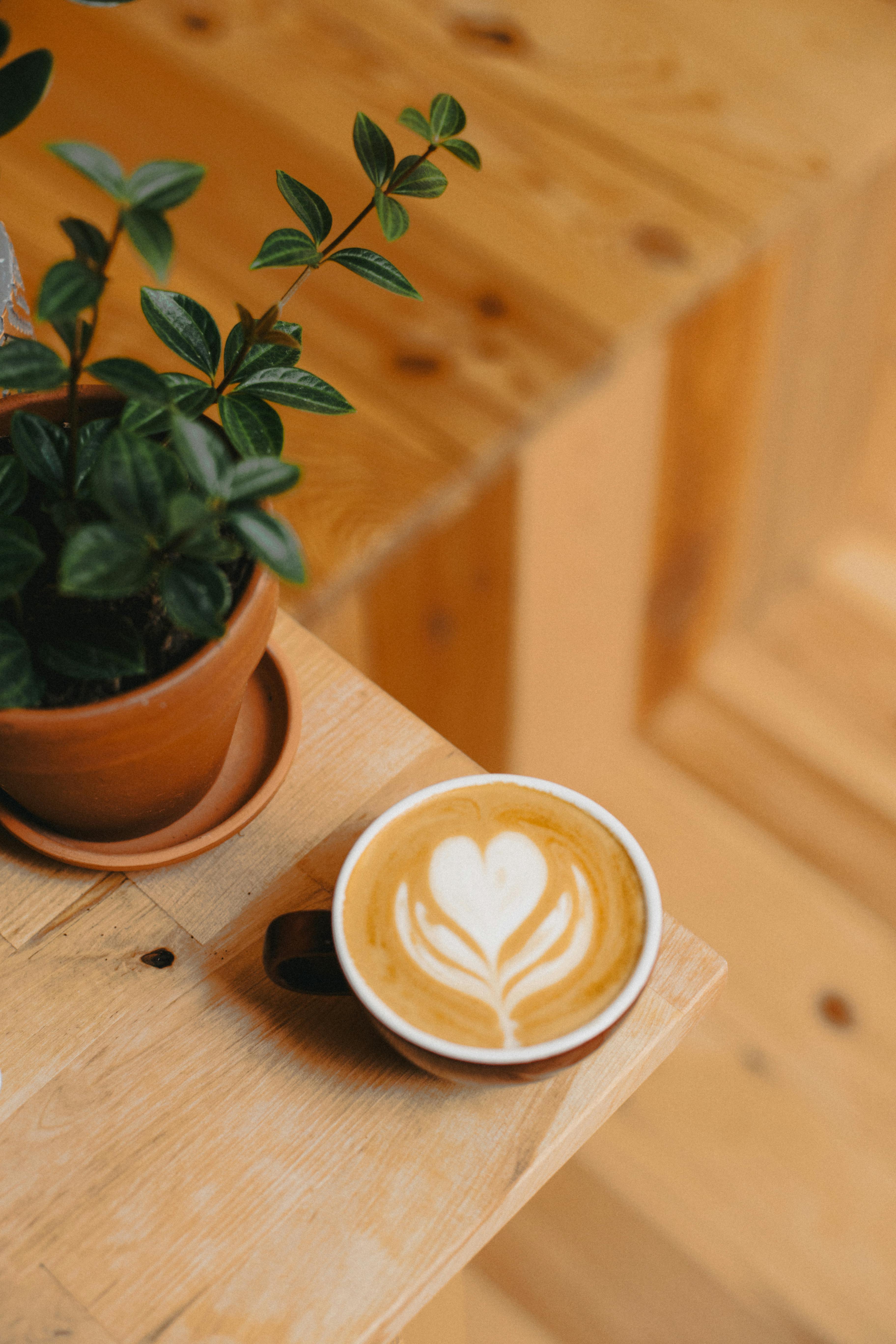 Warm cappuccino with latte art paired with a potted plant on a rustic table for a cozy indoor setting.