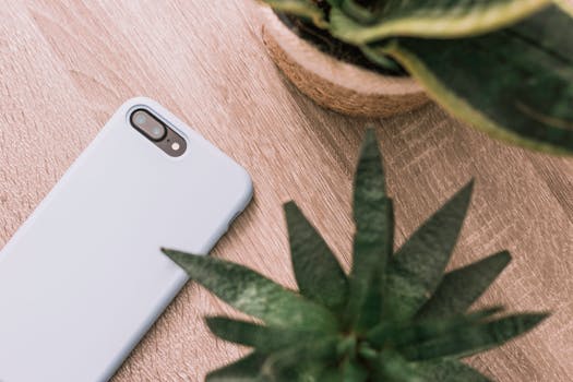 A minimalist flat lay featuring a smartphone and succulents on a wooden desk, perfect for tech and nature themes.