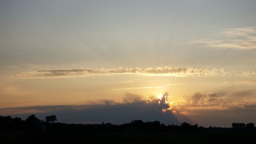 Free stock photo of sunset sky treeline