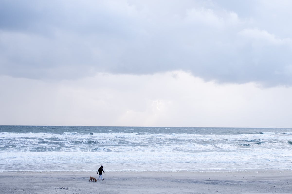 Winterstrand an der Ostsee bei Olpenitz