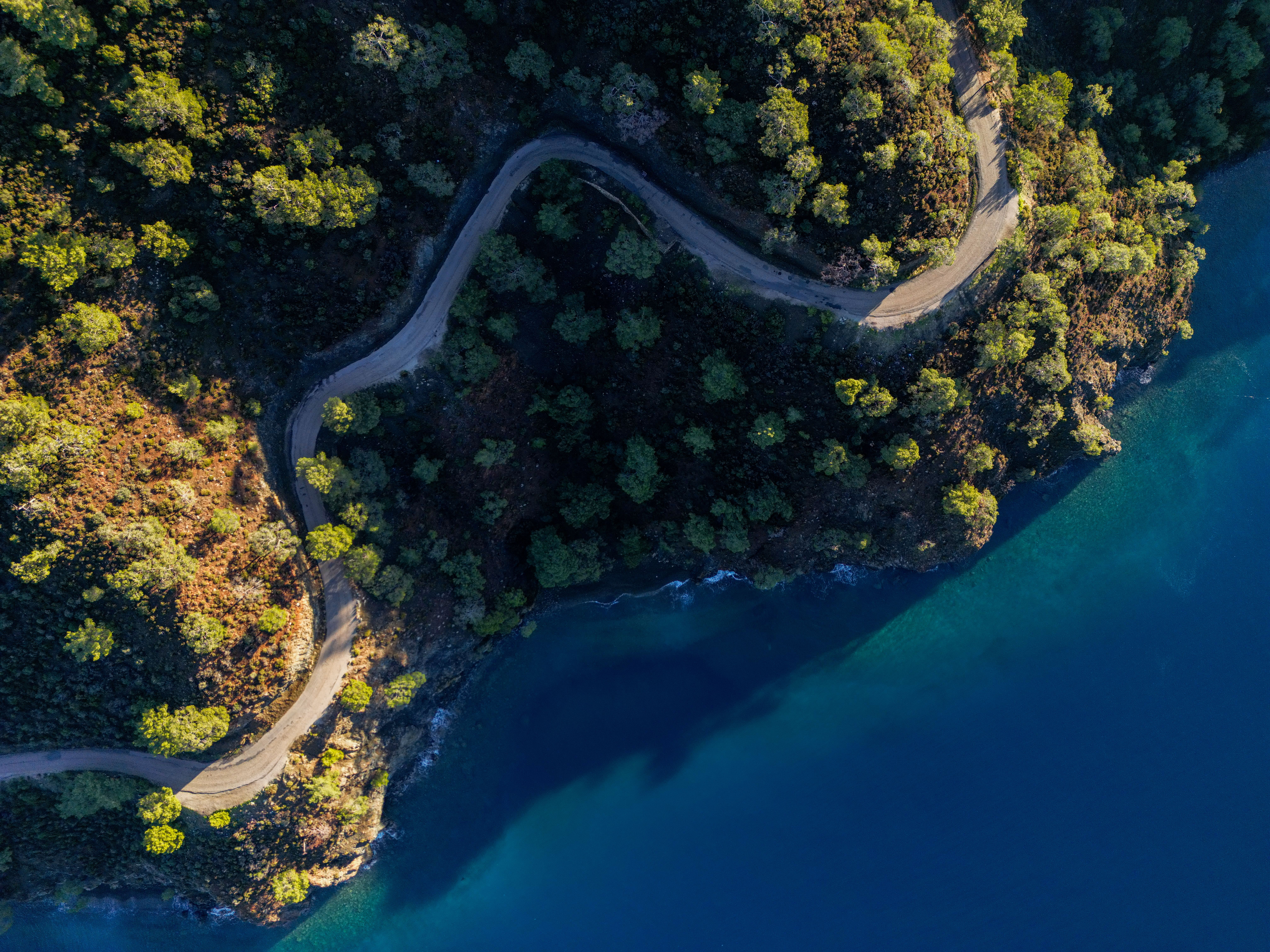 Heal the Planet While You Travel: 2026's Top Regenerative Destinations & How to Book Your Impact!