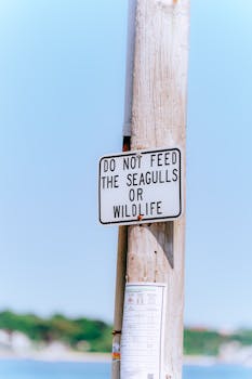 Trump Considers Appointment of Crypto-Savvy CFTC Chair Amid Evolving Regulatory Landscape