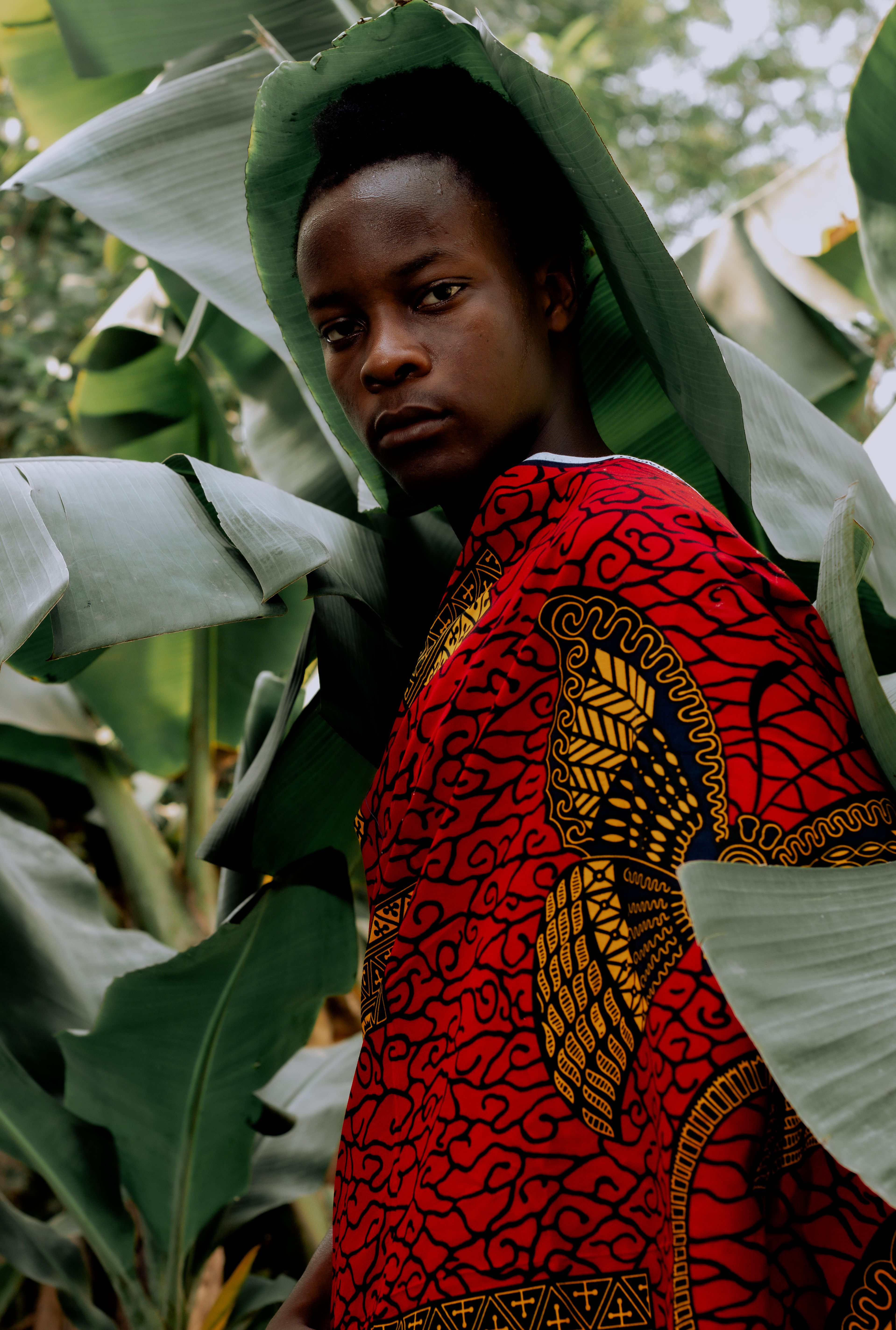 A man in vibrant African attire surrounded by lush green leaves, conveying cultural and natural beauty.