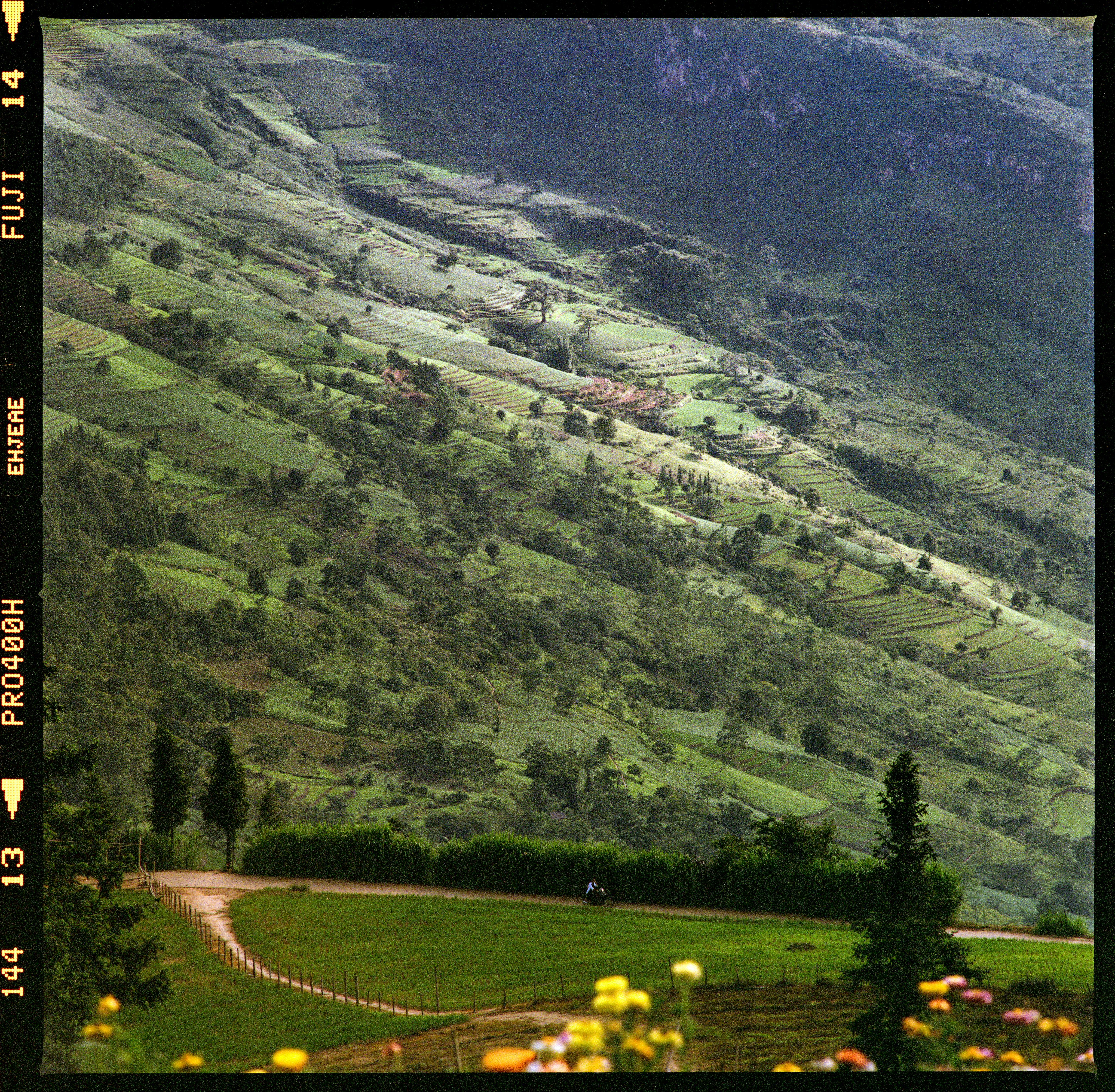 a view of a valley with green hills and flowers