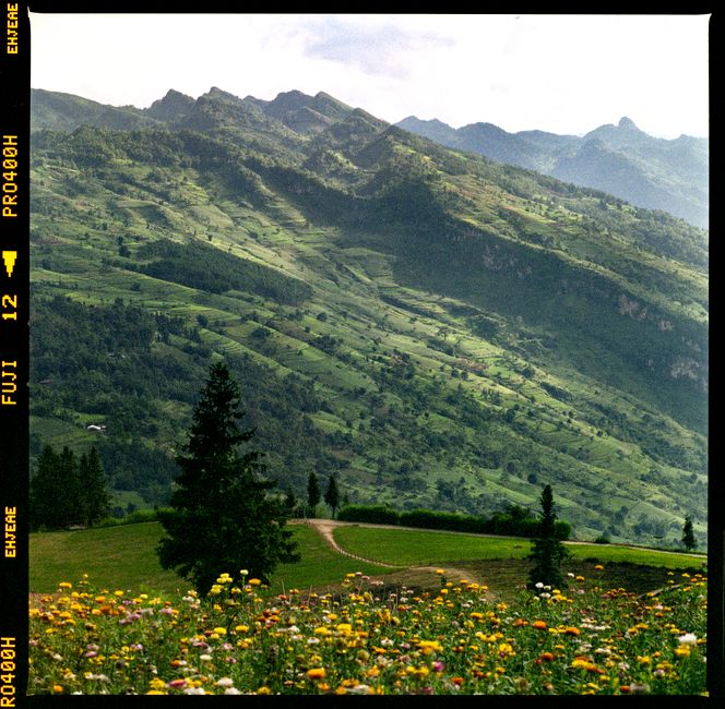 Vibrant mountain scene with colorful wildflowers, capturing a serene countryside view.