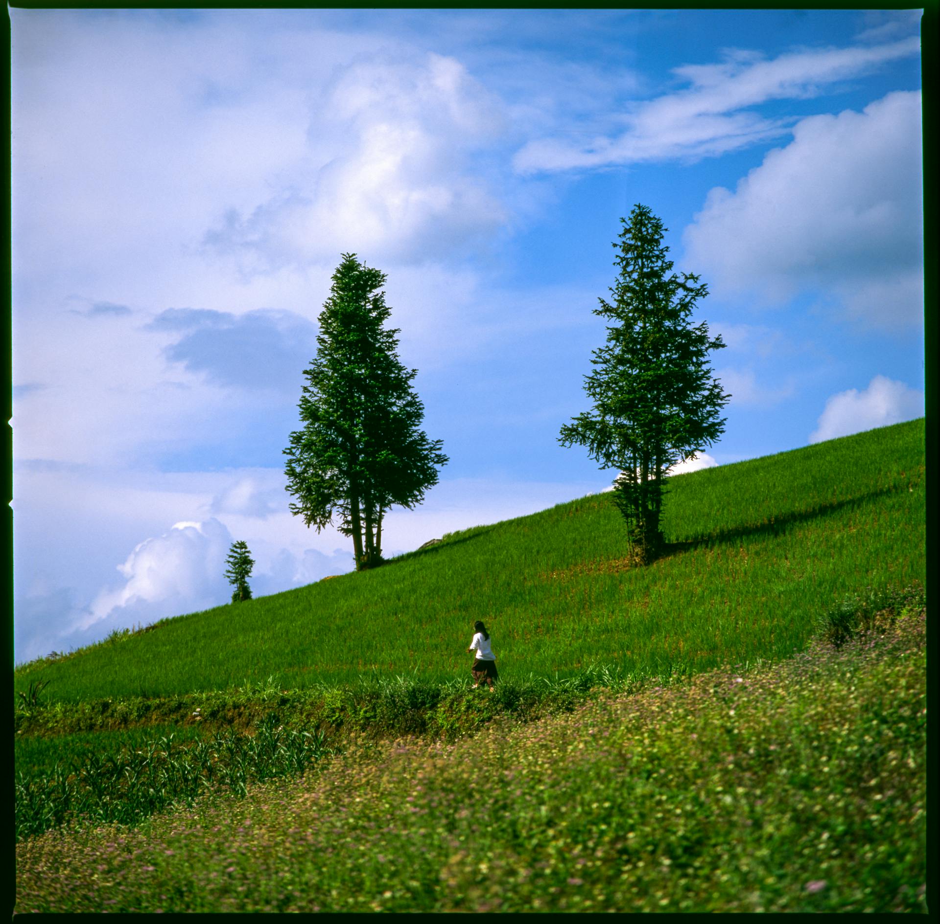 Woman Walking on Hill in Countryside