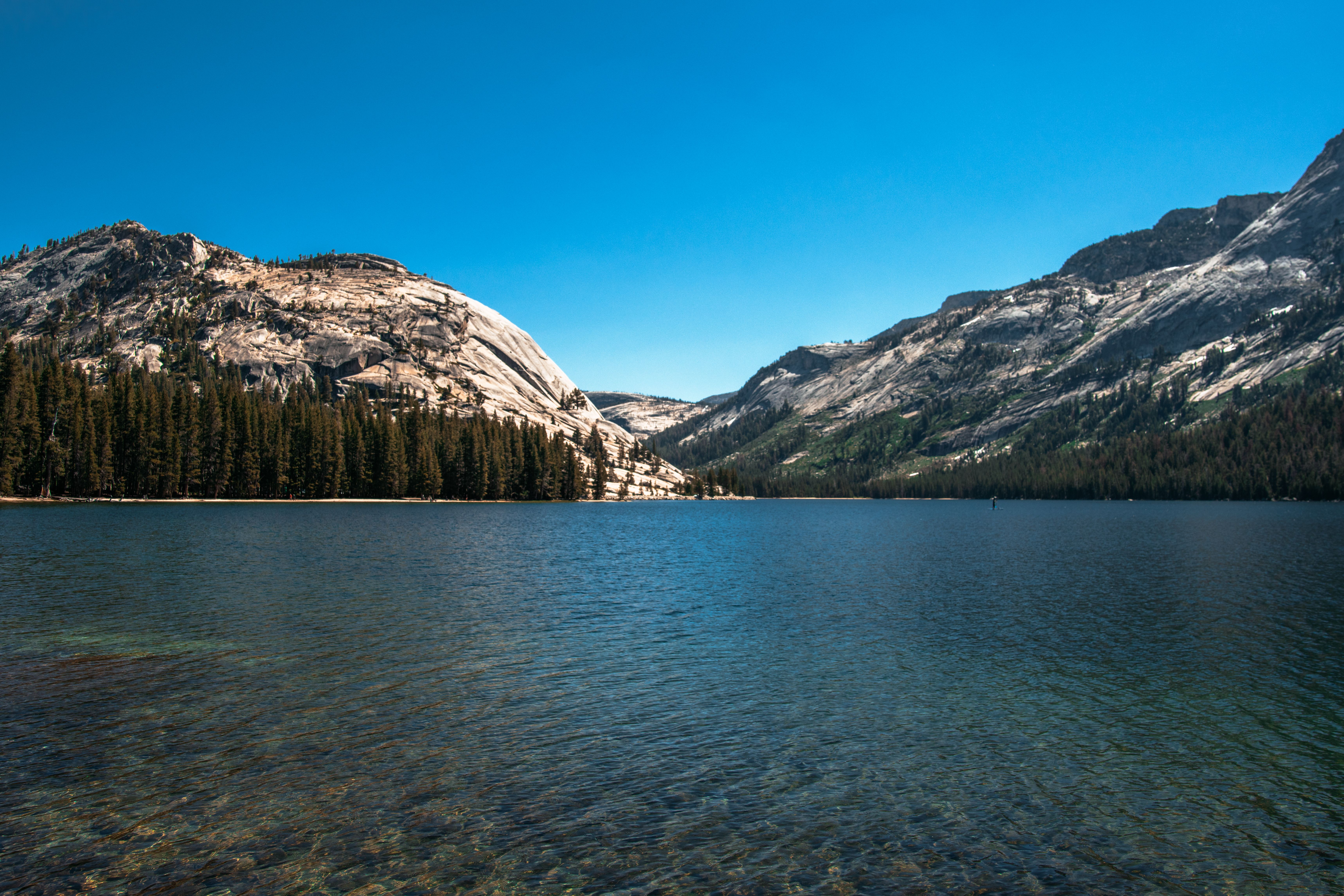 The meadow on the floor of Tenaya Canyon below Mirror Lake