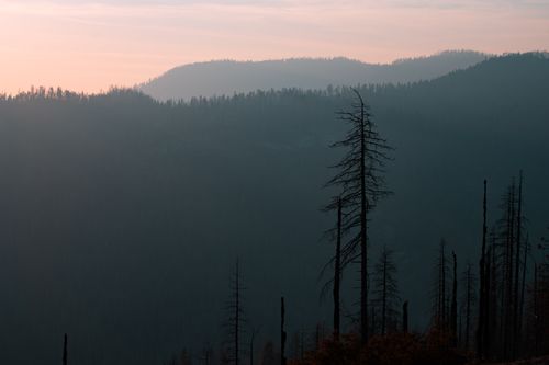 Free A serene view of misty mountains and trees at sunrise in a tranquil setting. Stock Photo