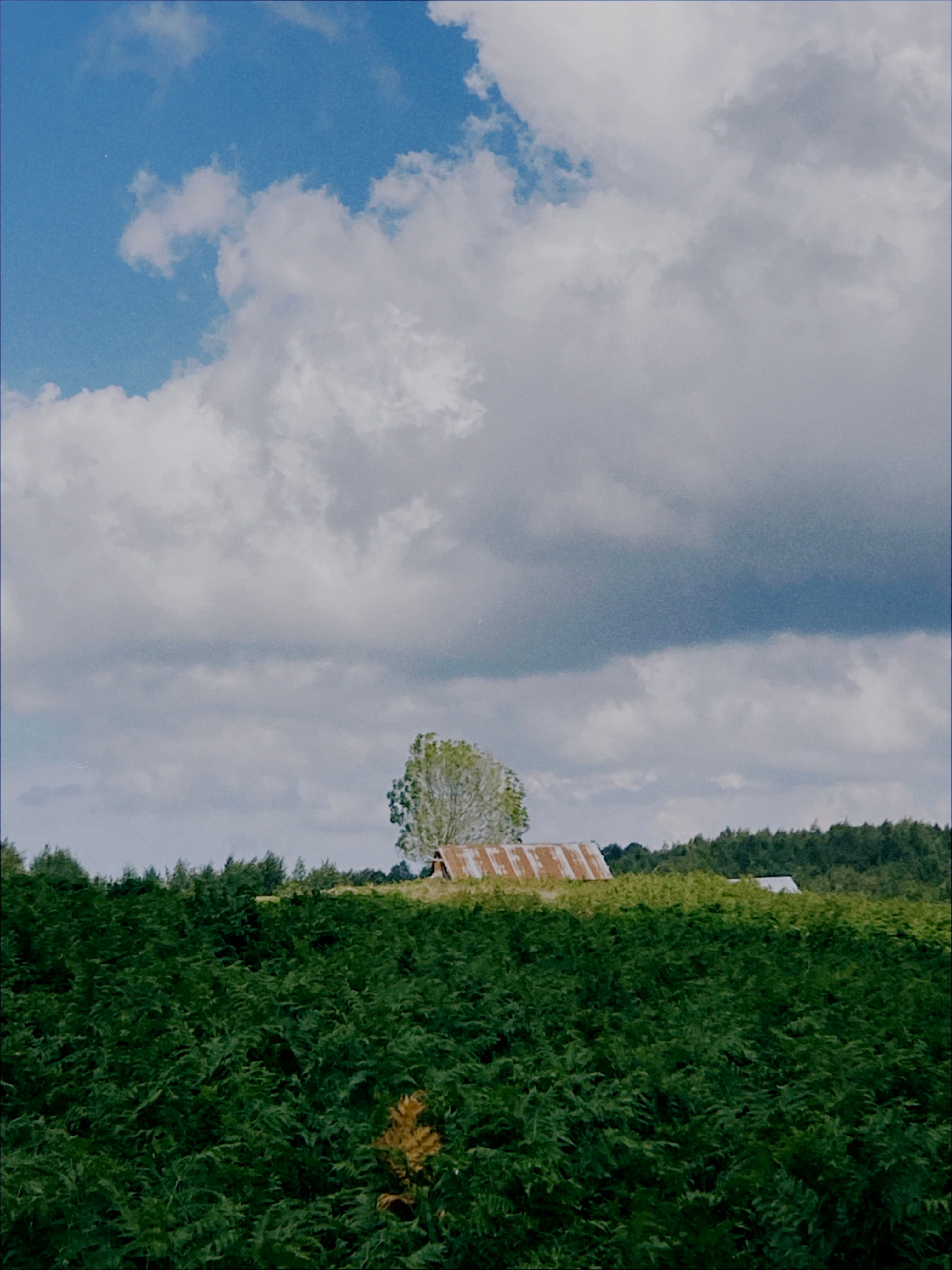 Rusting Roof of a House Over a Green Hill · Free Stock Photo