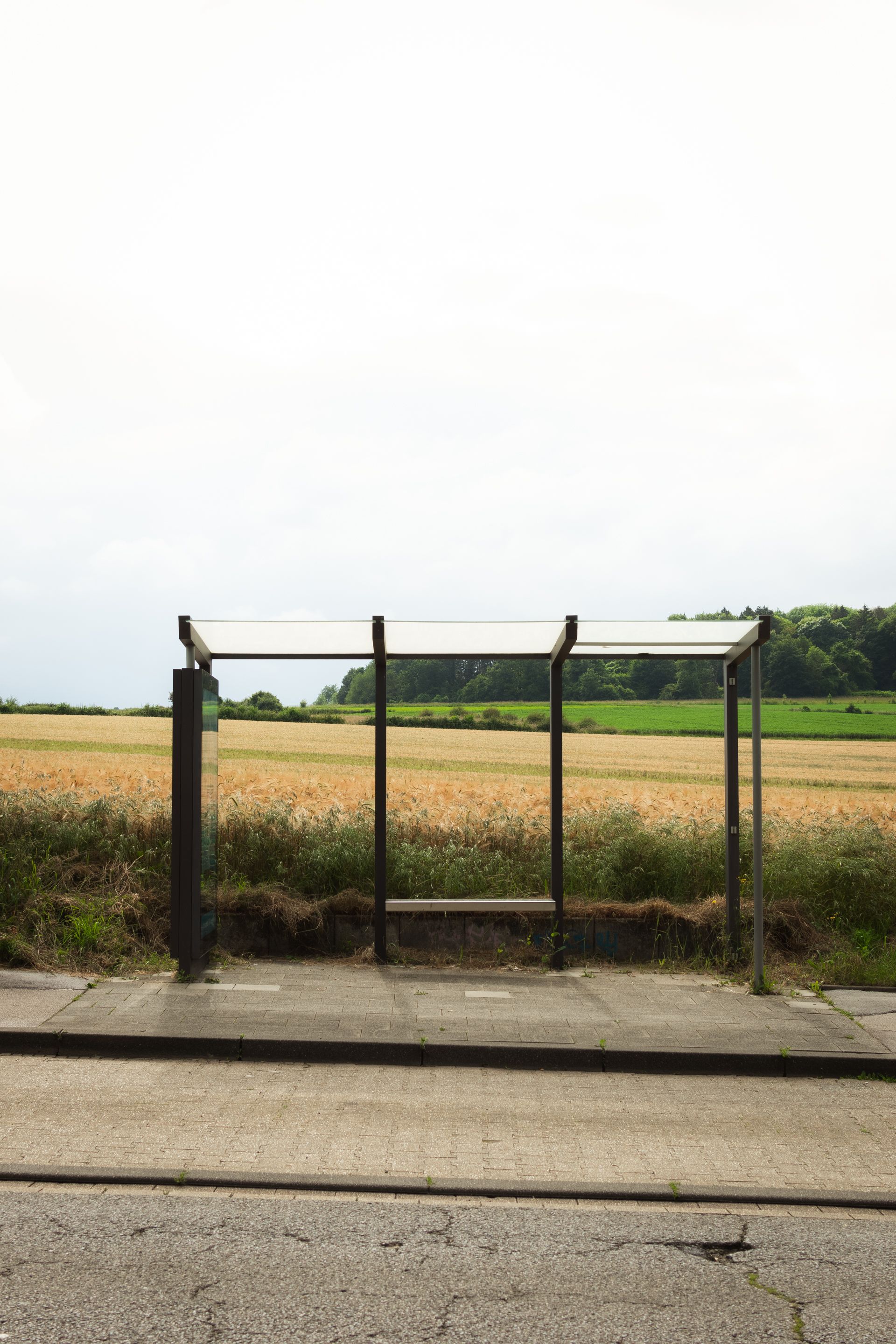 Deserted bus stop by a countryside field with clear skies and lush greenery.