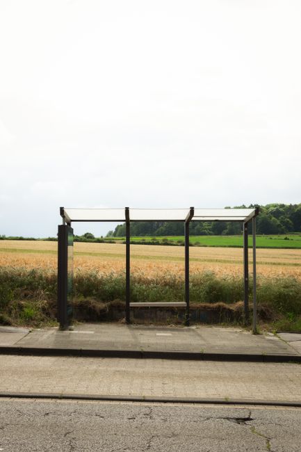 Deserted bus stop by a countryside field with clear skies and lush greenery.