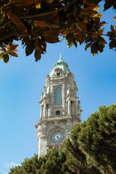 Historic bell tower with a clock in Porto framed by lush trees under a clear blue sky.