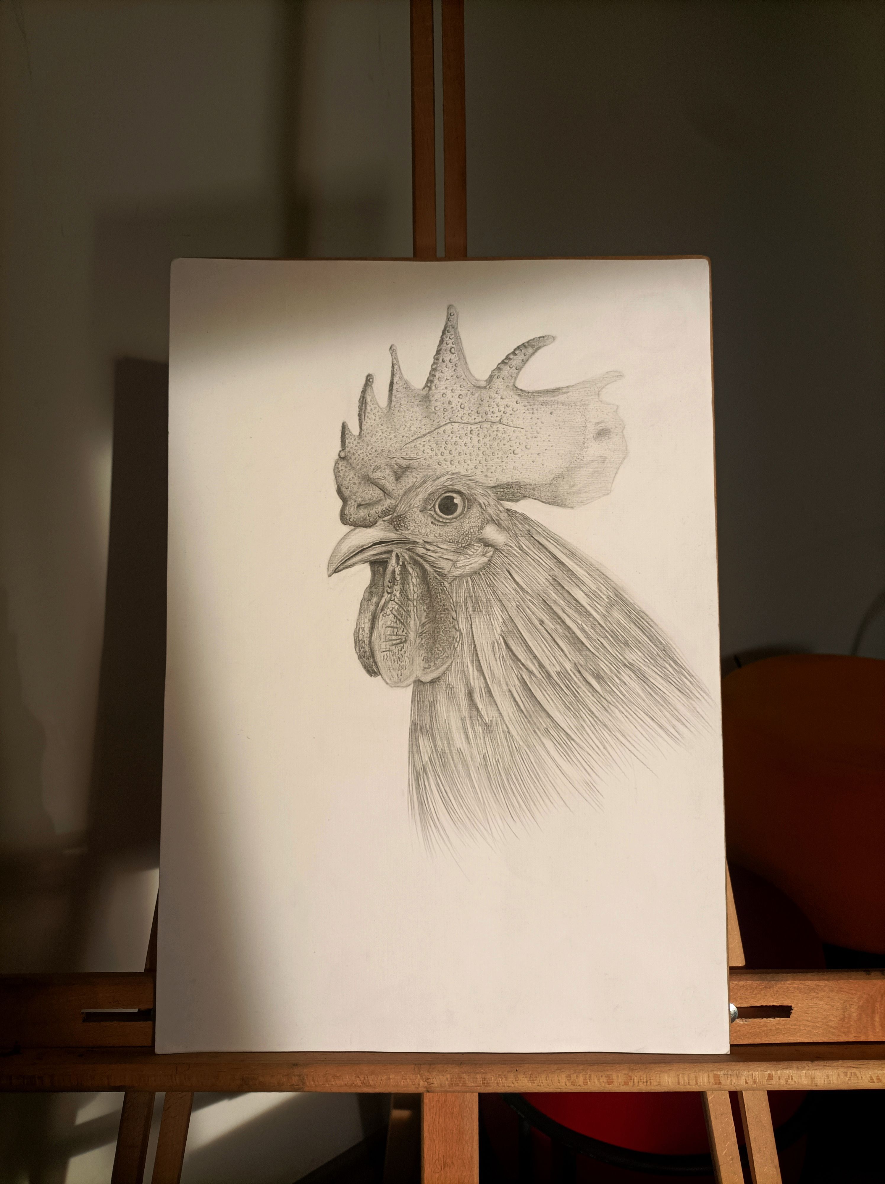 dibujando algo para el futuro 🕊️ · Foto de stock gratuita