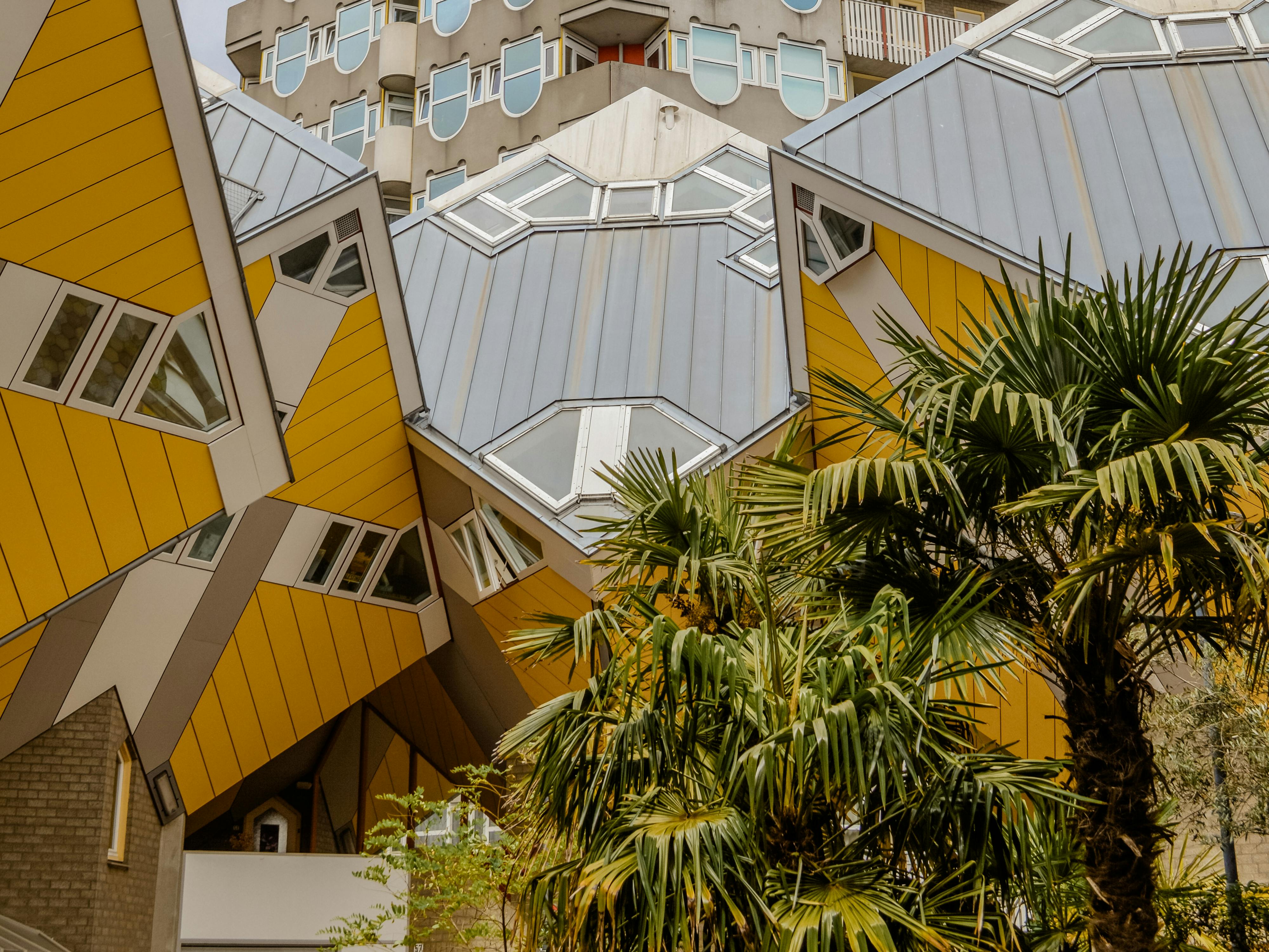 Rotterdam Architecture Tour