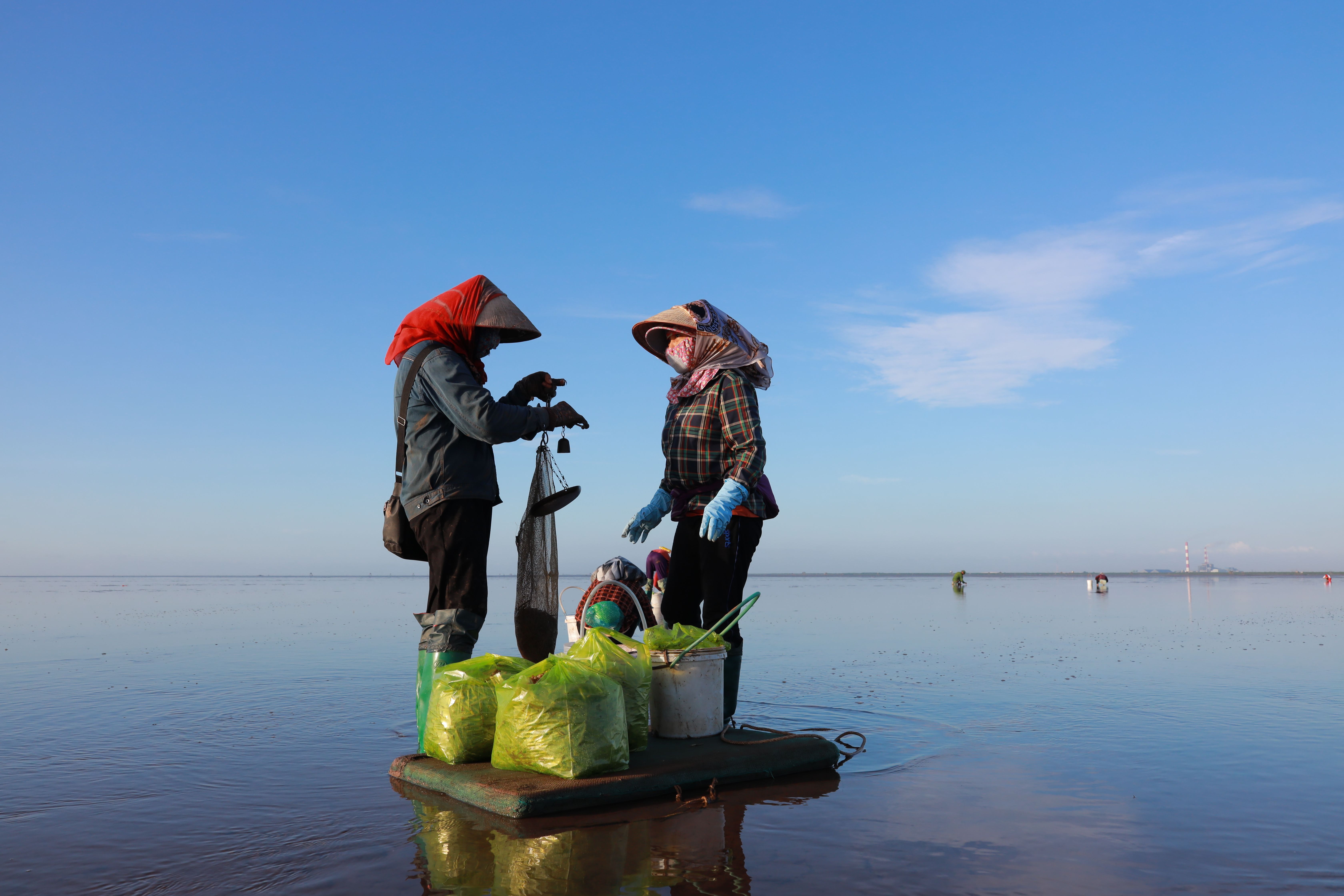 Collecting Fish Photos, Download The BEST Free Collecting Fish Stock ...