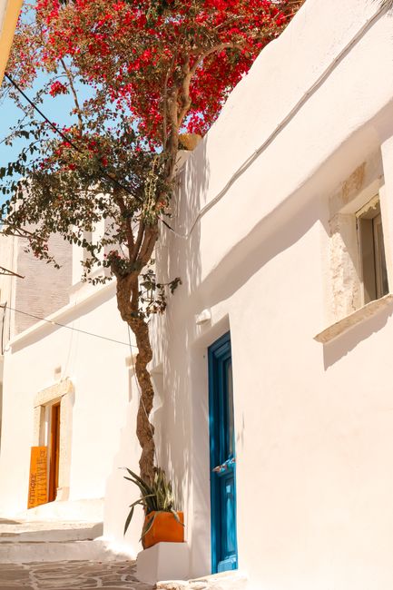 Explore the vibrant architecture and serene streetscape of Paros, Greece.