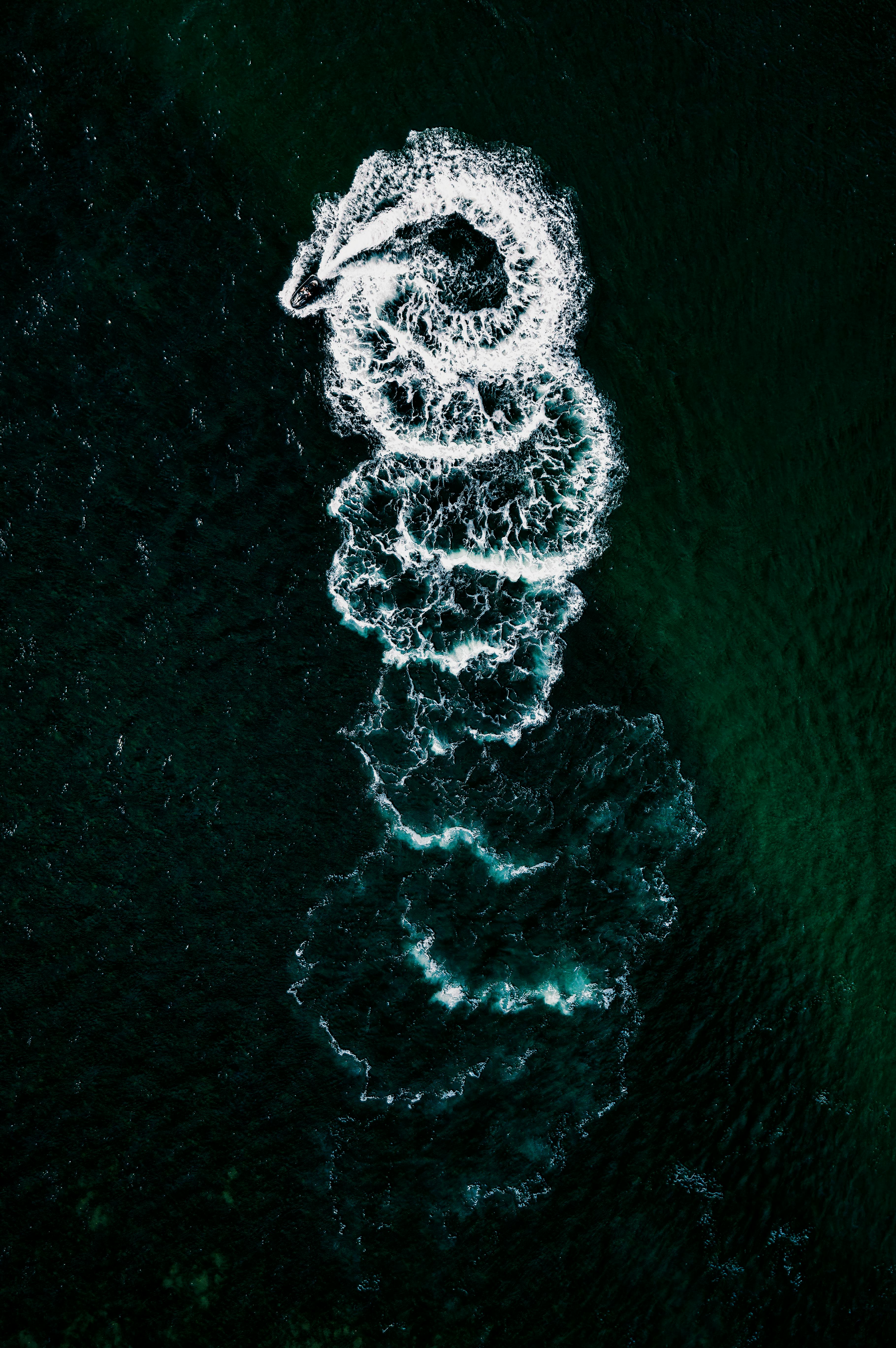 sea serpent