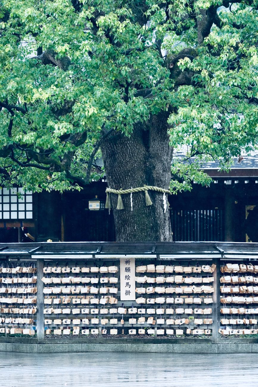 お賽銭の金額と縁起