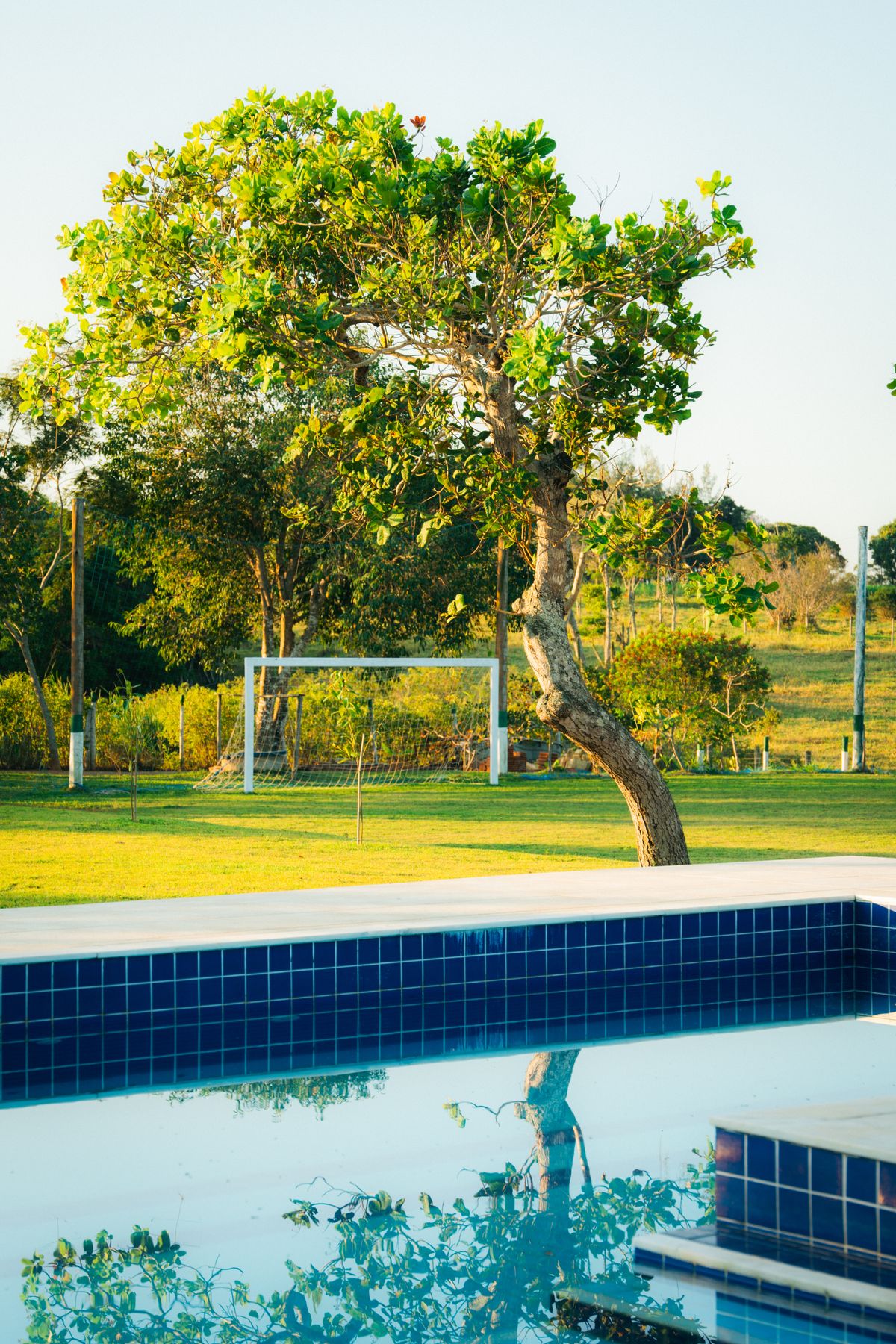 Traditional backyard pool surrounded by trees and greenery