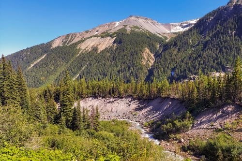 Free Beautiful mountain landscape with lush forests and a clear blue sky in Washington, USA. Stock Photo