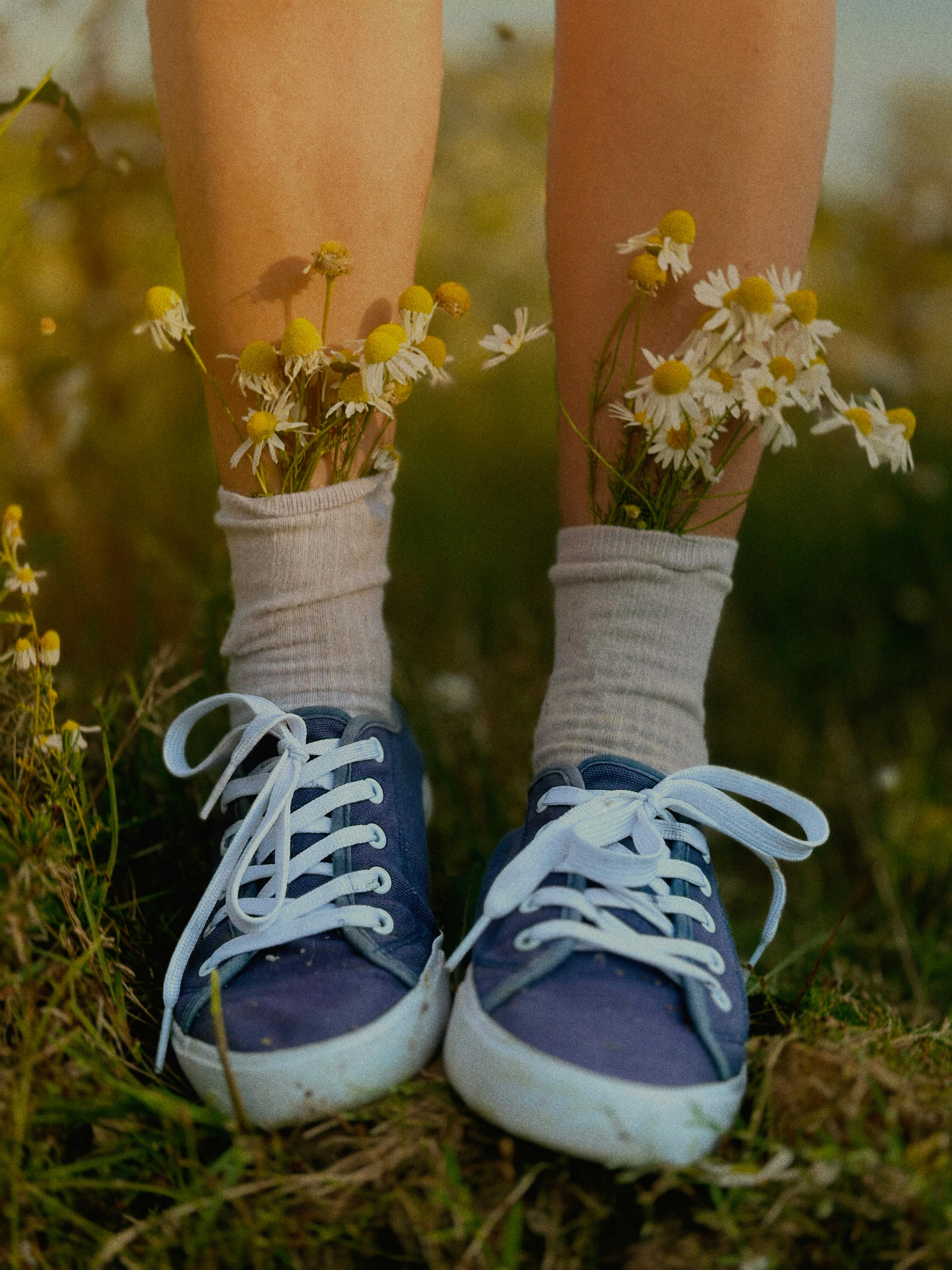 Close-up of legs in blue sneakers with wildflowers in socks outdoors.