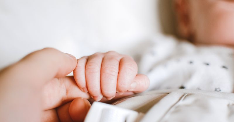 Crevettes Bébé : À Quel Âge les Introduire ?