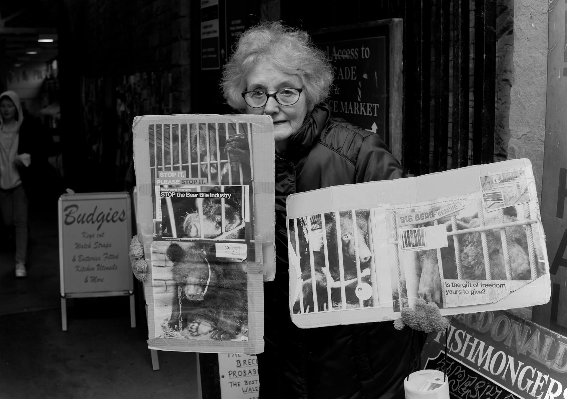 A senior woman holds animal rights protest signs on a busy street, advocating for bear protection.