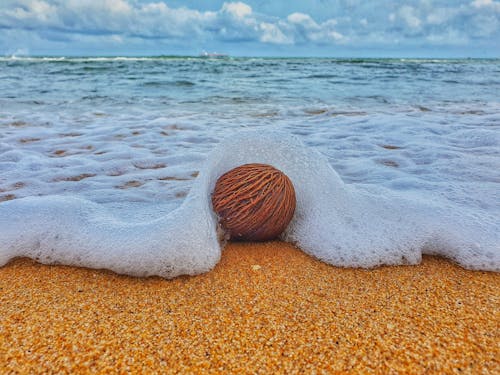 斯里蘭卡, 海灘, 運動 的 免费素材图片