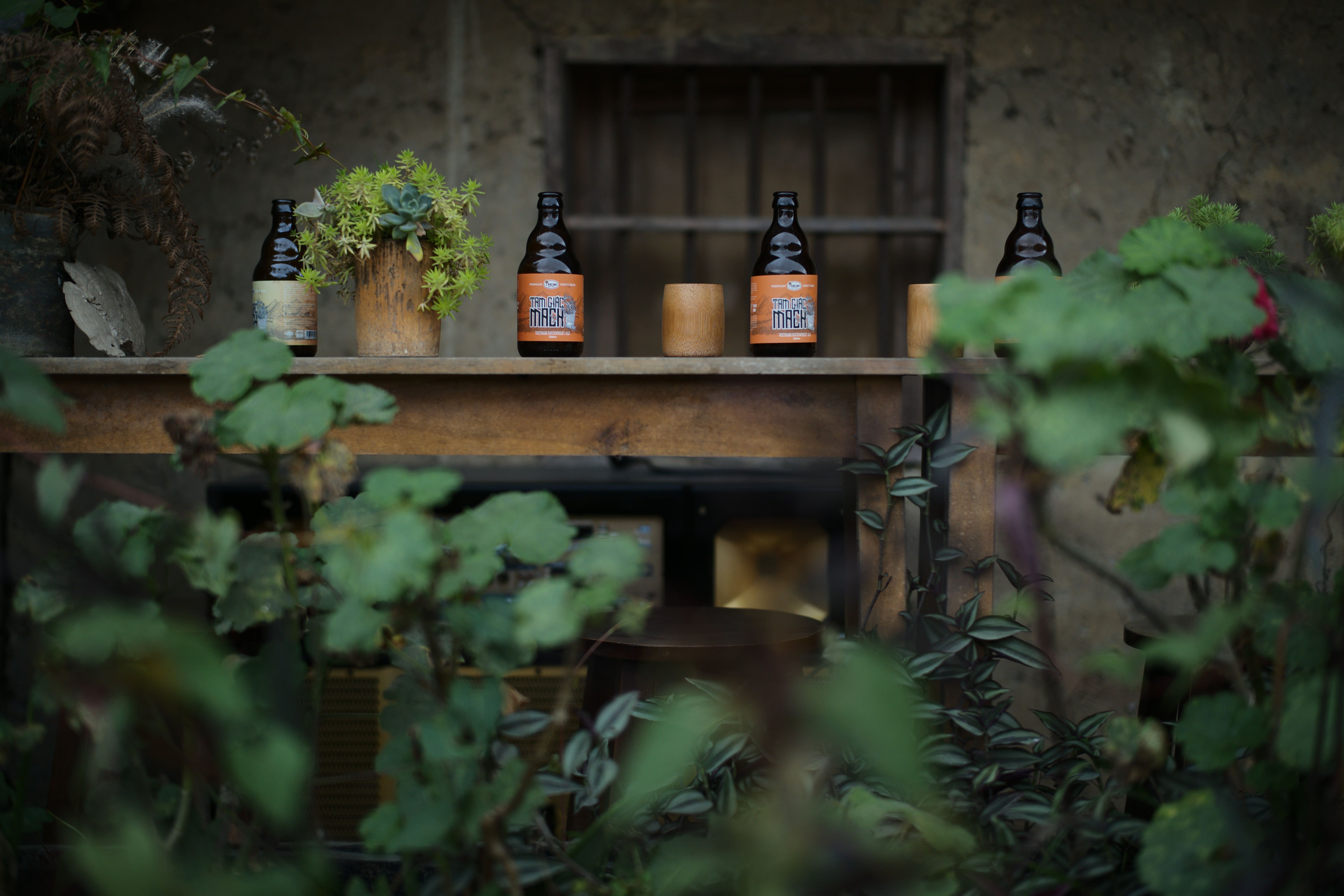 The Future of Craft Beer in Vietnam