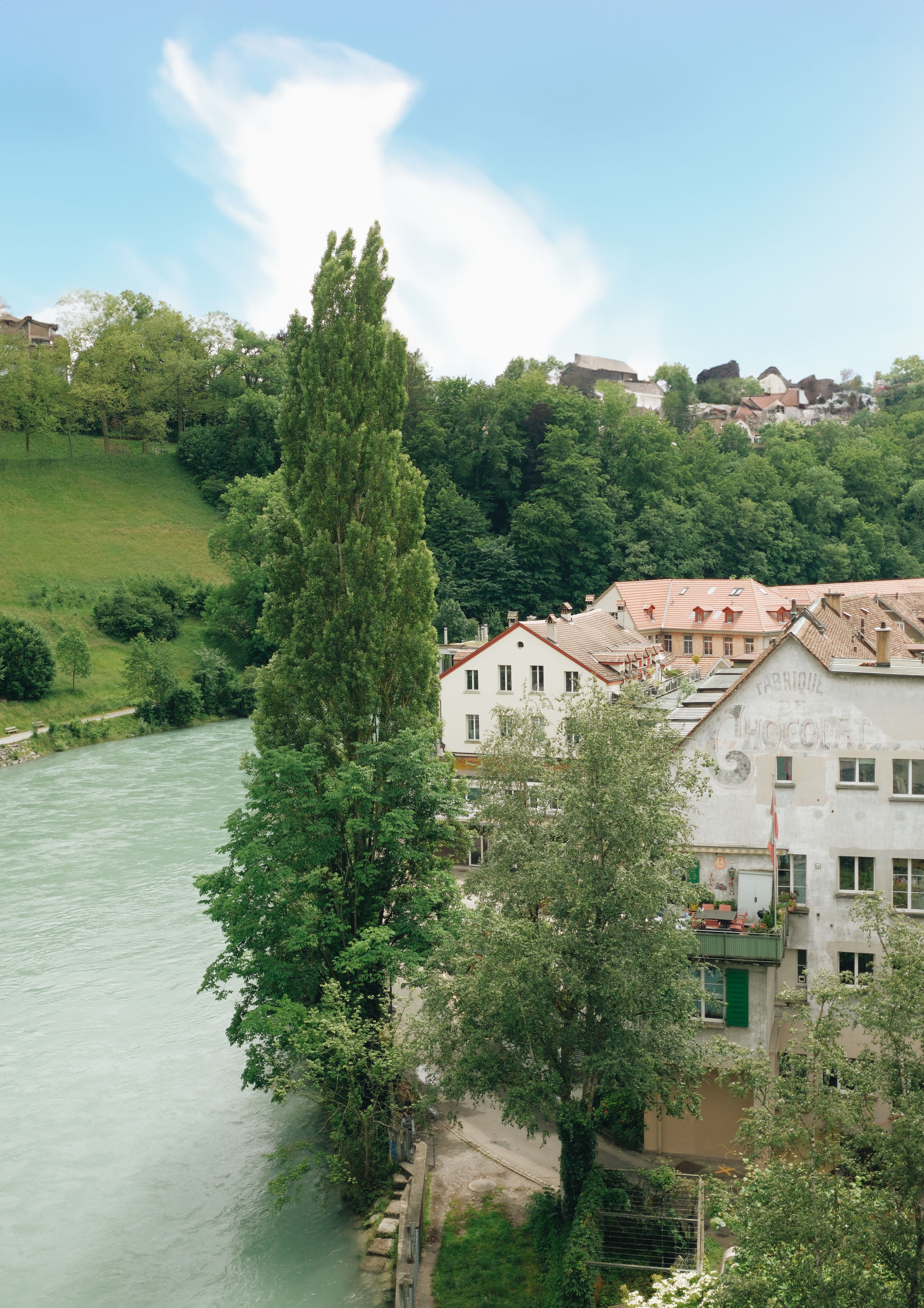 Charming riverside houses and lush greenery in Bern, Switzerland.