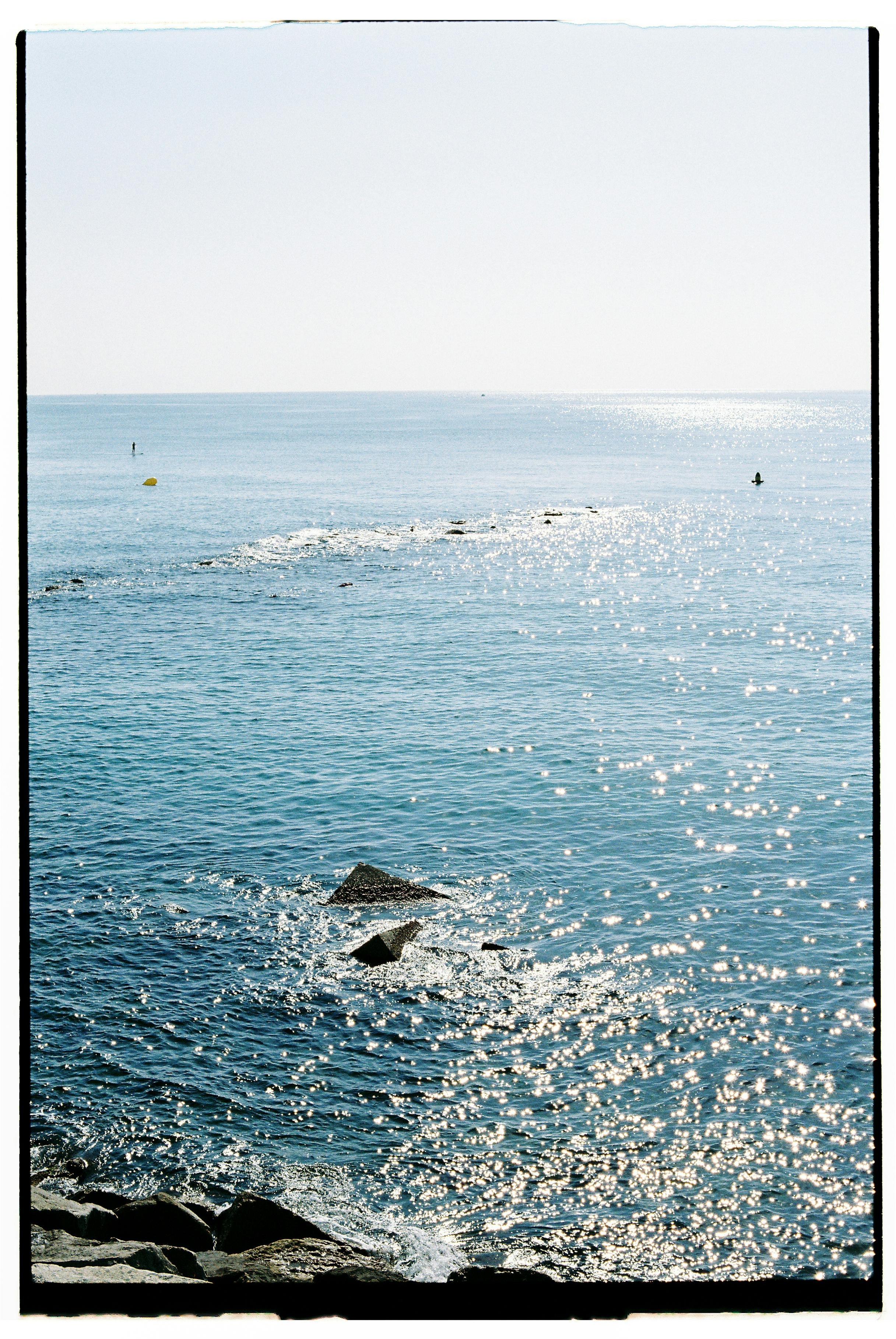 sea surface glistening with sunlight