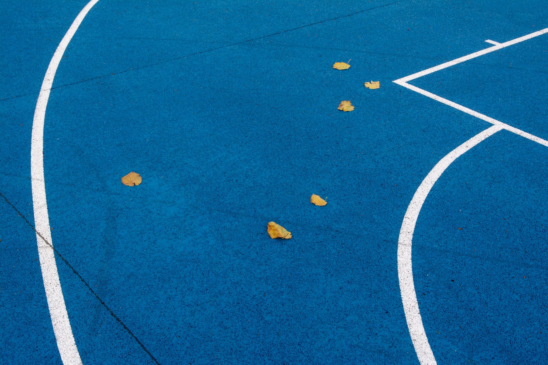 NCAA Basketball photo featuring Vibrant blue sports court with white lines and scattered yellow leaves, showcasing abstract patterns.