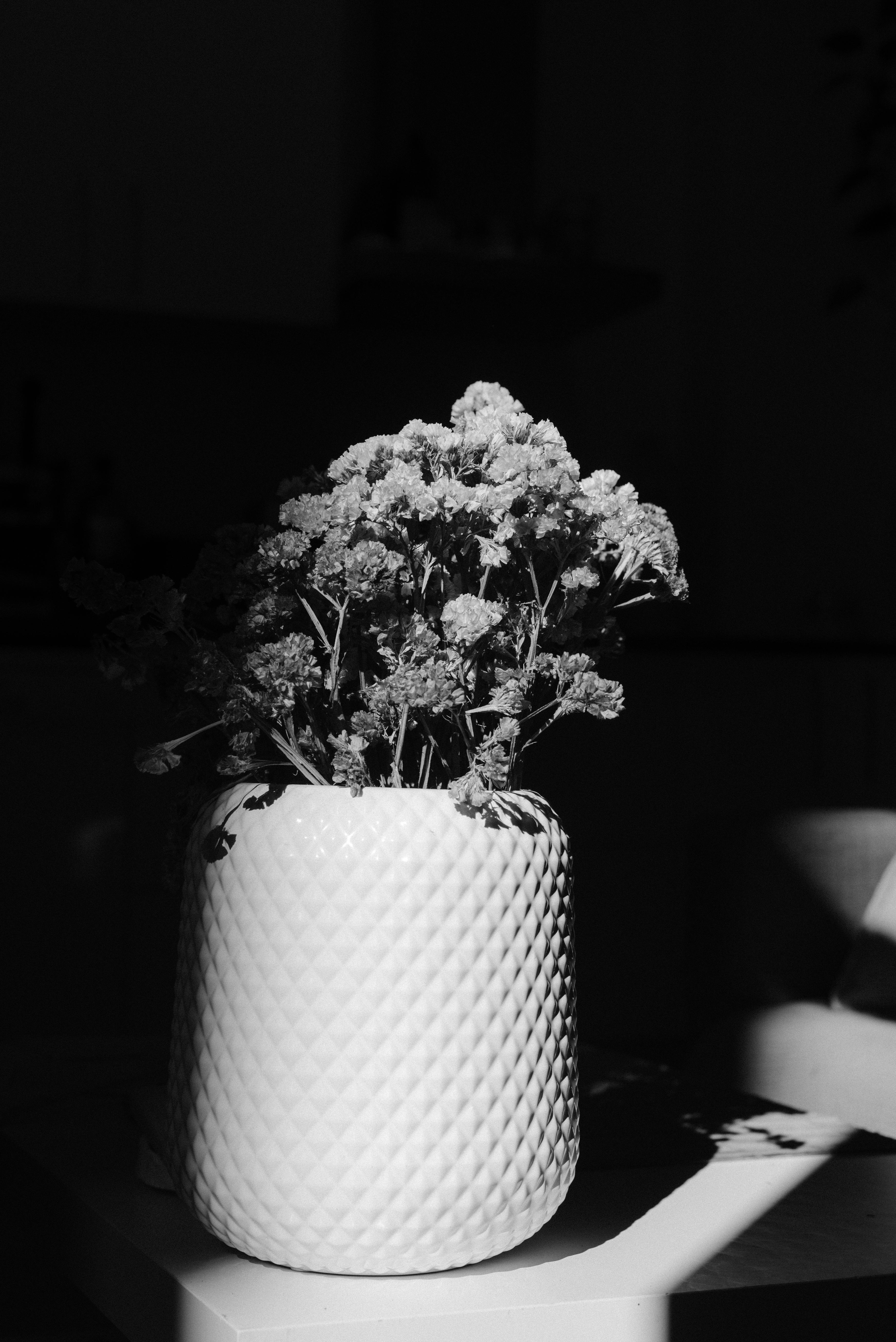 Ingyenes stockfotó # beltér, ajándék, árnyékok témában Stockfotó