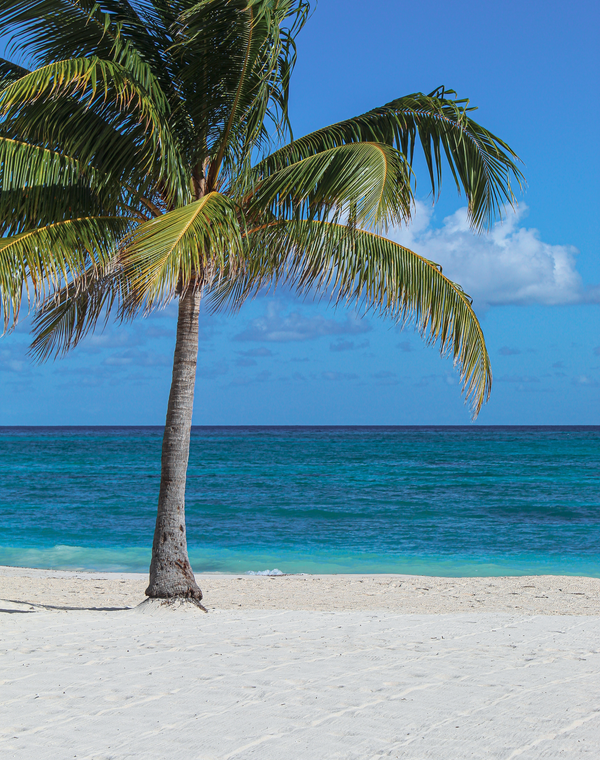 Jamaica
