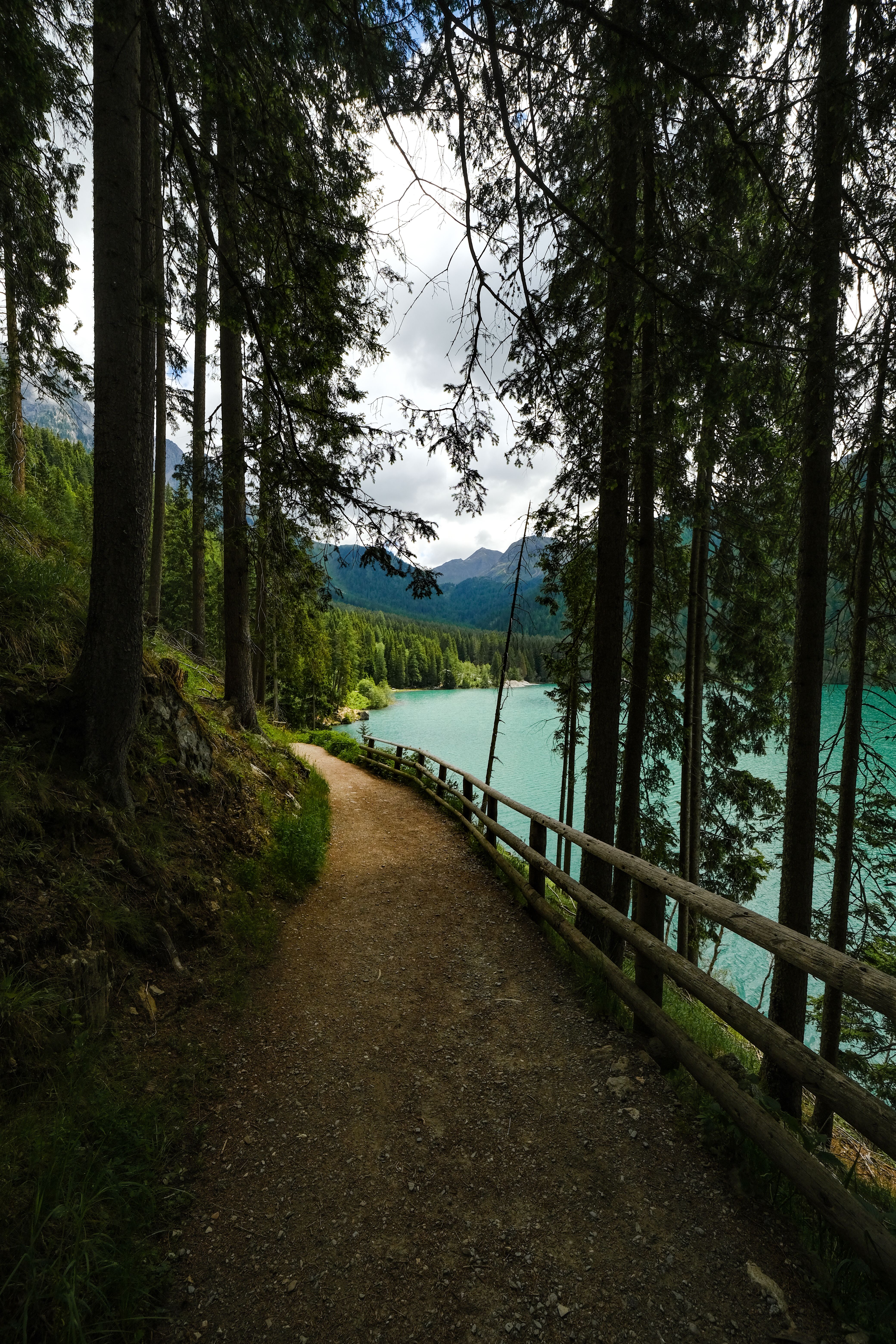 Path by the Lake Among Trees · Free Stock Photo